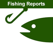 Honeoye Lake Fishing, Finger Lakes Fishing, Hemlock Lake Fishing, Canadice Lakes Fishing, Conesus Lake Fishing, Keuka Lake Fishing, Silver Lake Fishing, Canandaigua Lake Fishing, Seneca Lake Fishing